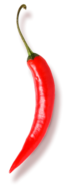 Peperoncino@2x Peperoncino@2x